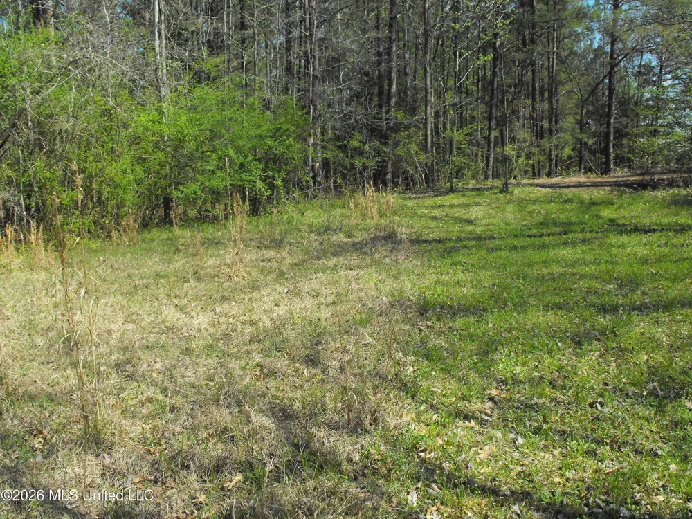 000 Berry Drive Florence, MS 39073