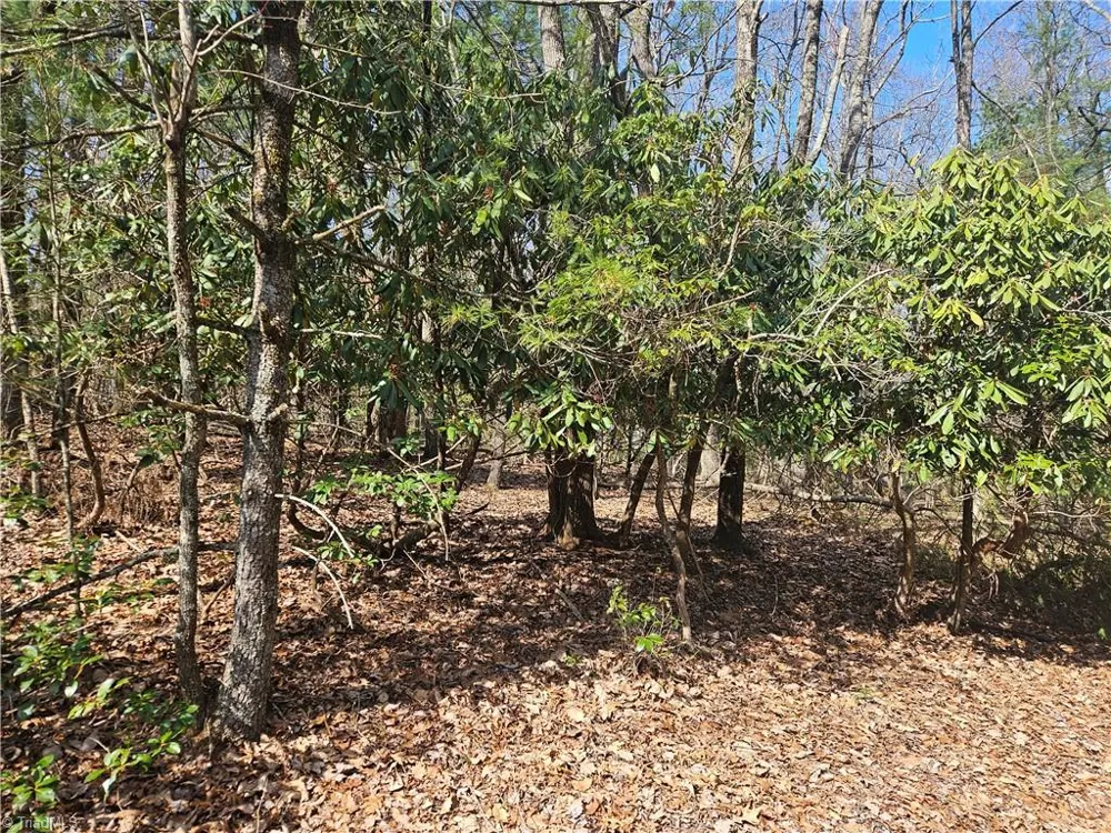 TBD Mt. Retreat Road Roaring Gap, NC 28668