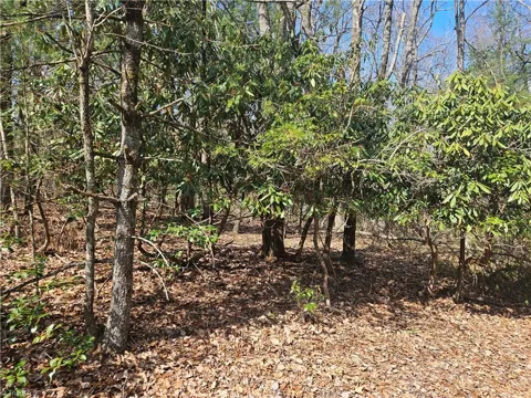 TBD Mt. Retreat Road