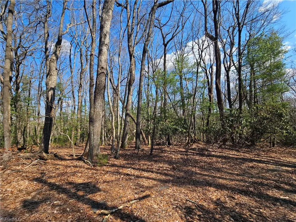 TBD Mt. Retreat Road Roaring Gap, NC 28668