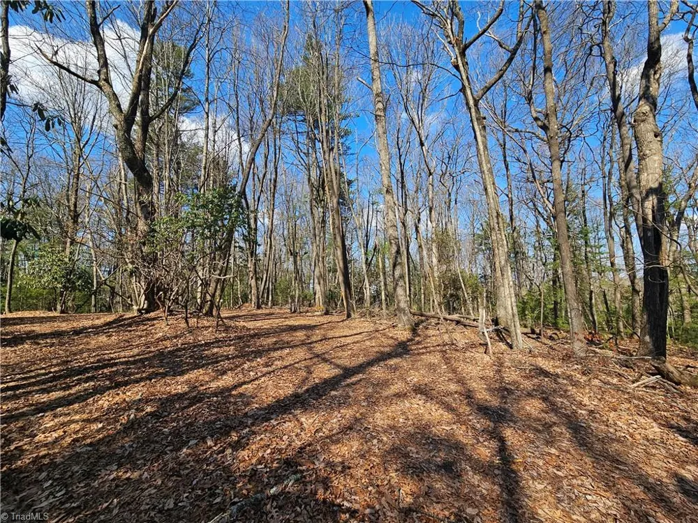 TBD Mt. Retreat Road Roaring Gap, NC 28668