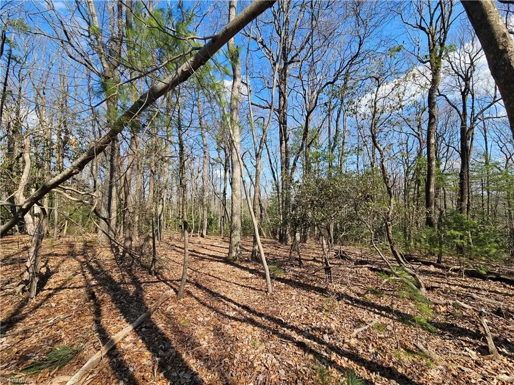 TBD Mt. Retreat Road Roaring Gap, NC 28668