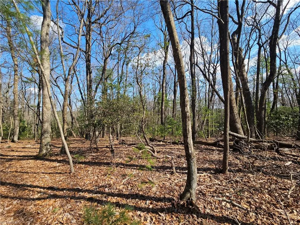 TBD Mt. Retreat Road Roaring Gap, NC 28668