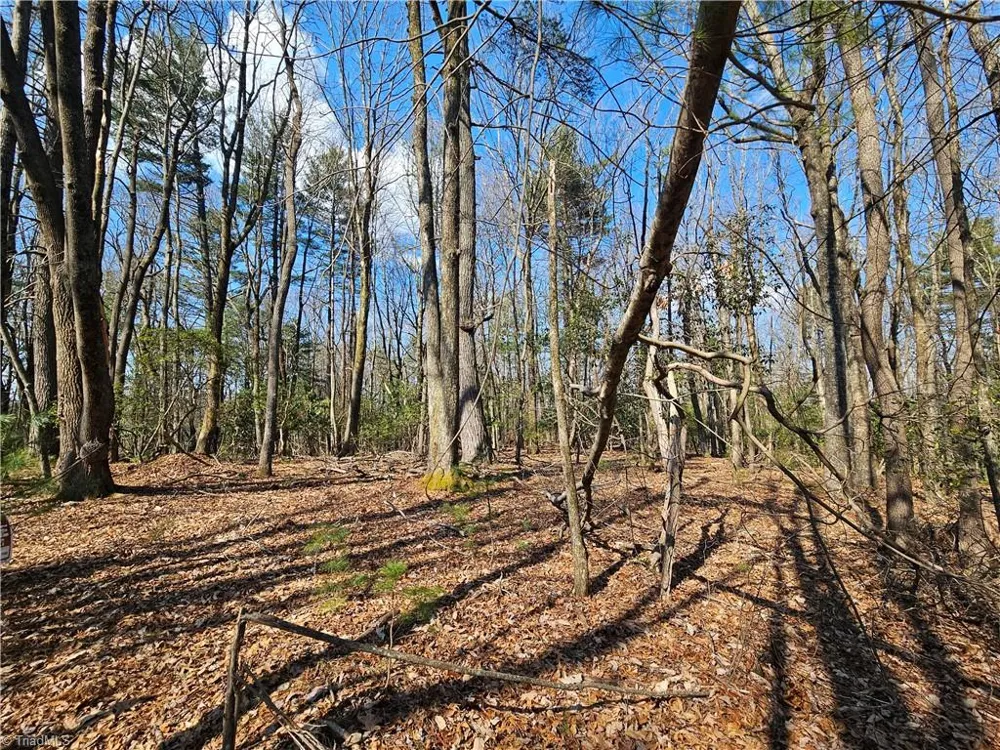 TBD Mt. Retreat Road Roaring Gap, NC 28668