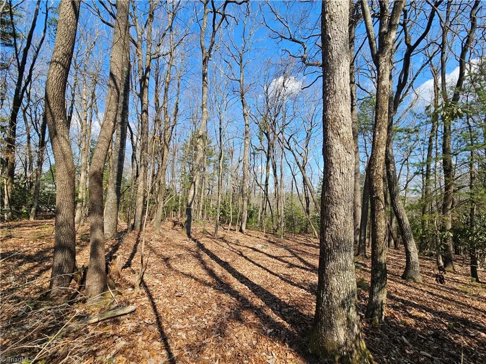 TBD Mt. Retreat Road Roaring Gap, NC 28668