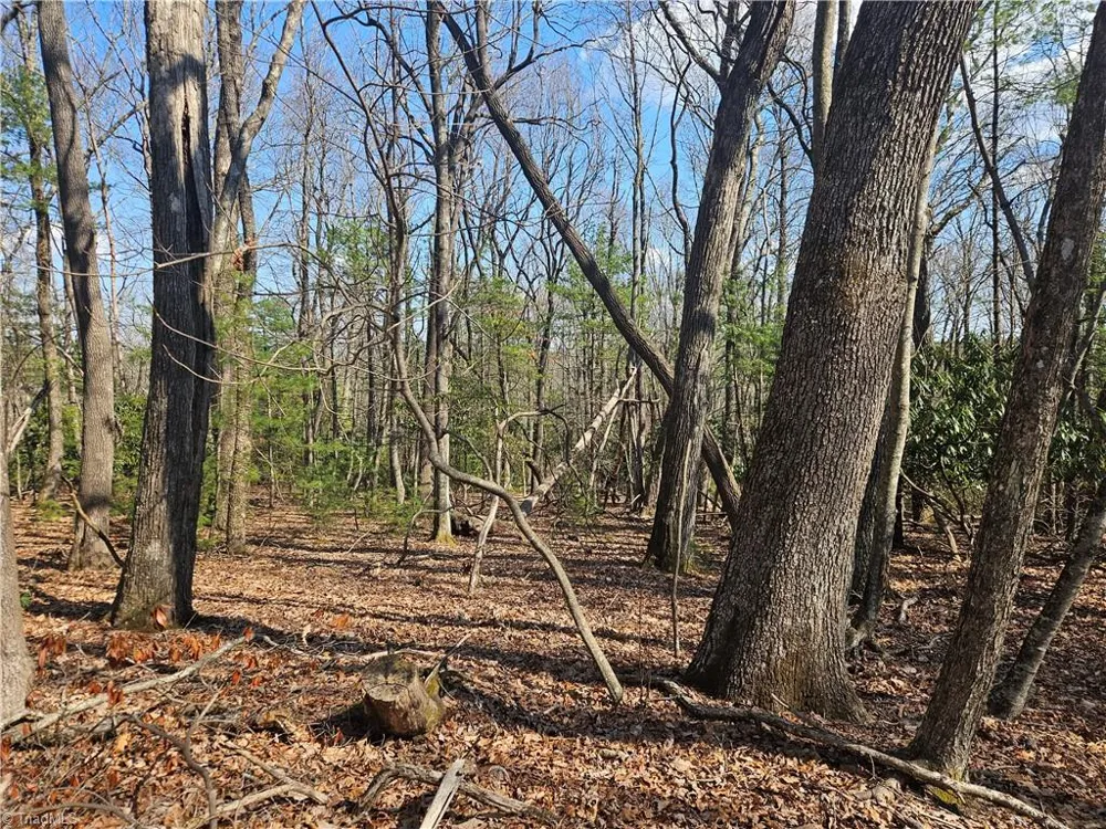 TBD Mt. Retreat Road Roaring Gap, NC 28668