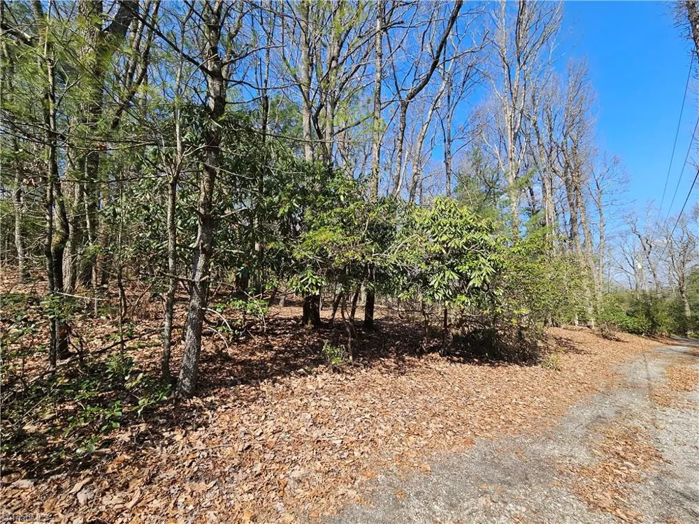 TBD Mt. Retreat Road Roaring Gap, NC 28668