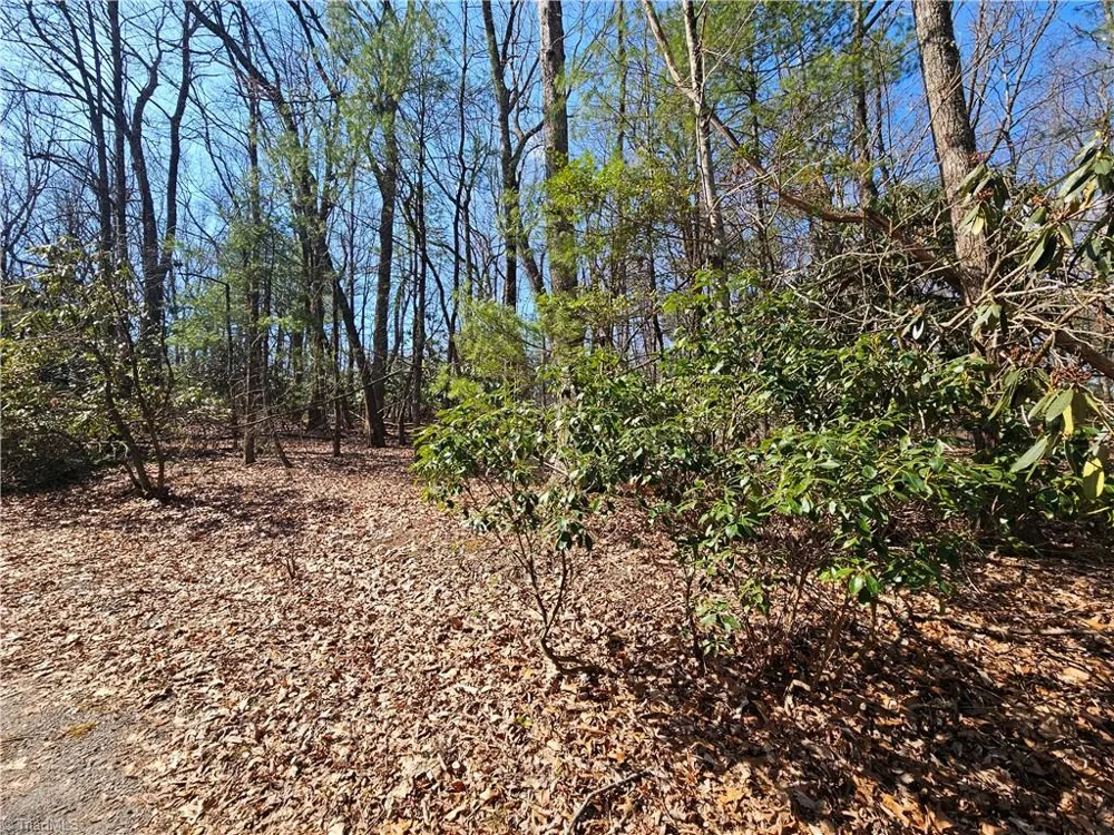 TBD Mt. Retreat Road Roaring Gap, NC 28668