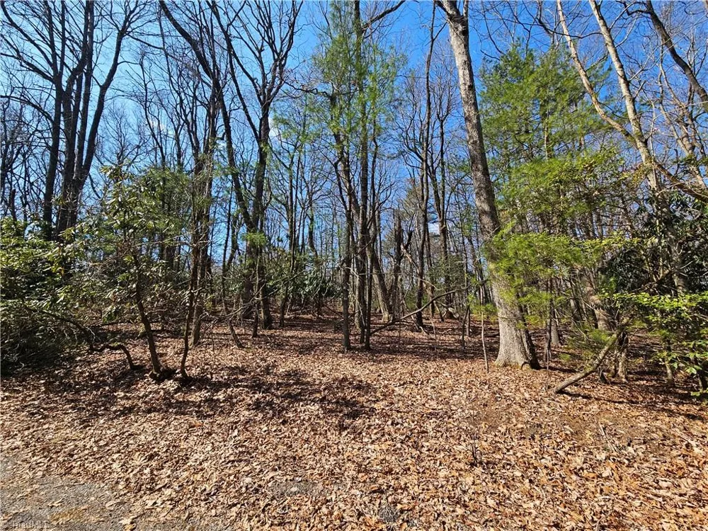 TBD Mt. Retreat Road Roaring Gap, NC 28668
