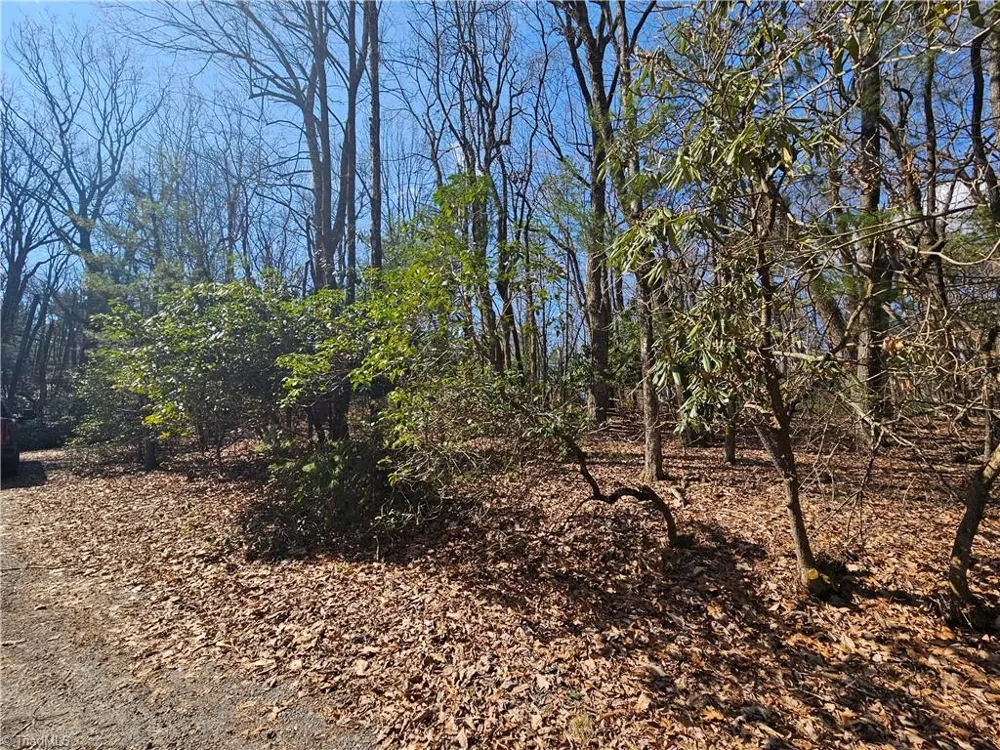 TBD Mt. Retreat Road Roaring Gap, NC 28668