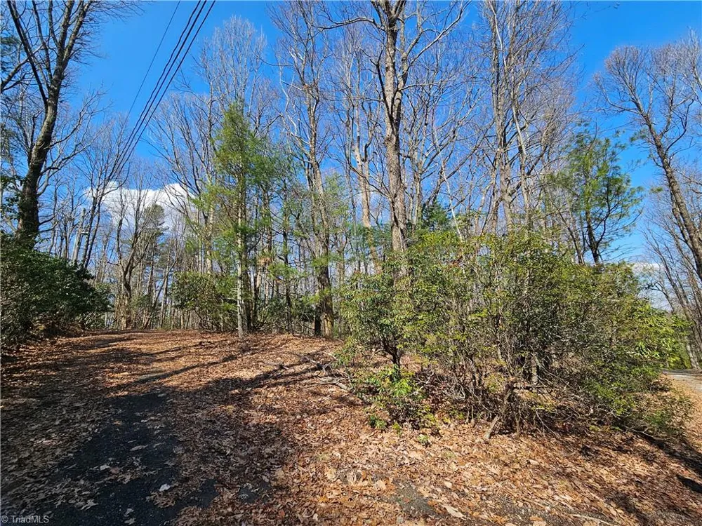 TBD Mt. Retreat Road Roaring Gap, NC 28668