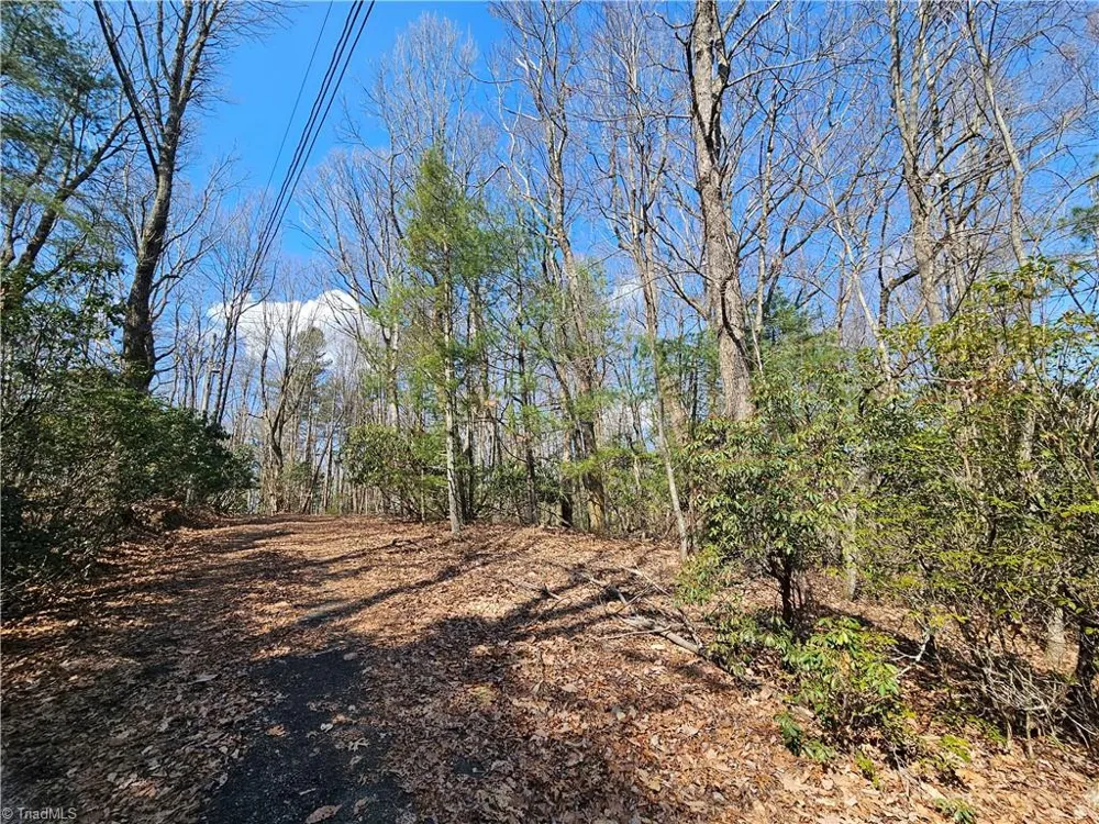 TBD Mt. Retreat Road Roaring Gap, NC 28668