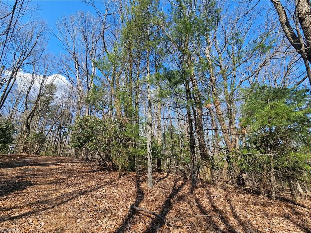 TBD Mt. Retreat Road Roaring Gap, NC 28668