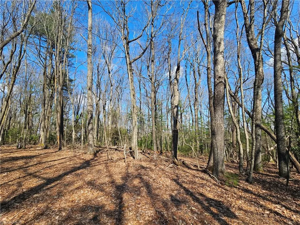 TBD Mt. Retreat Road Roaring Gap, NC 28668