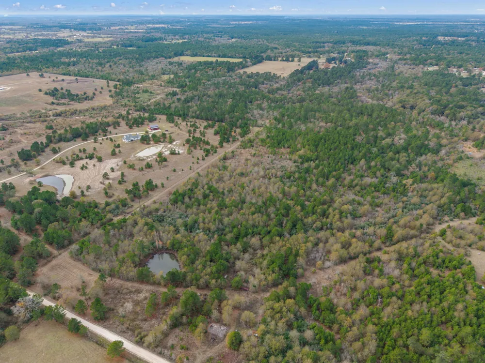 Dickey Loop Huntsville, TX 77831