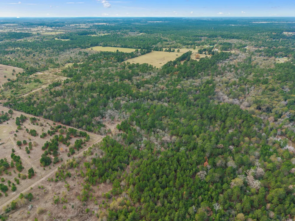 Dickey Loop Huntsville, TX 77831