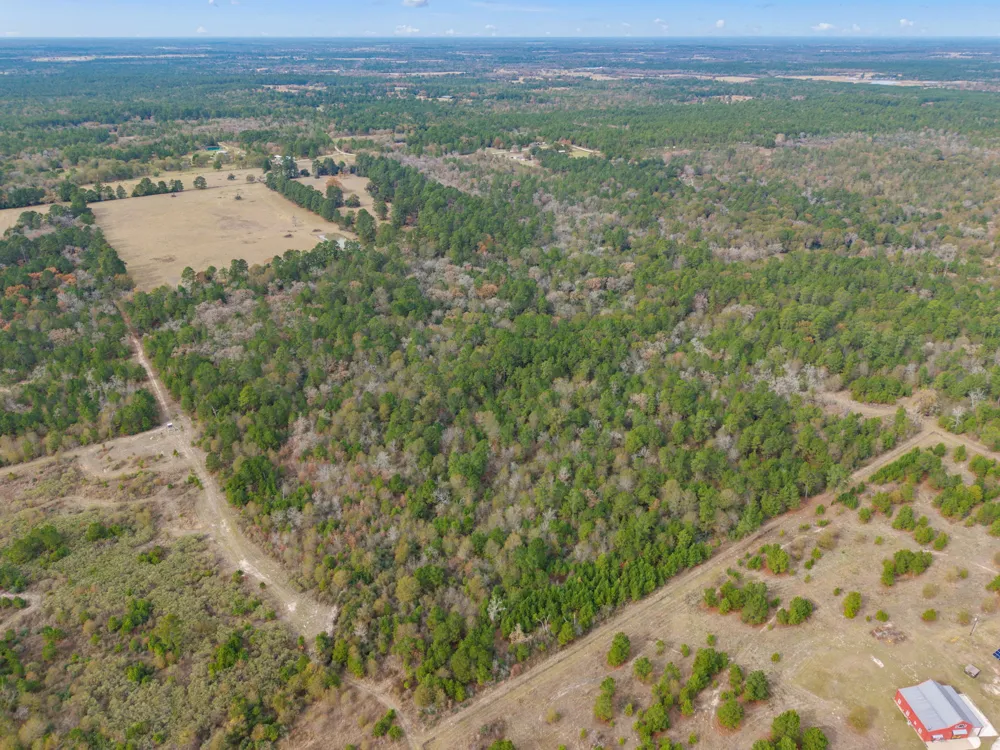Dickey Loop Huntsville, TX 77831