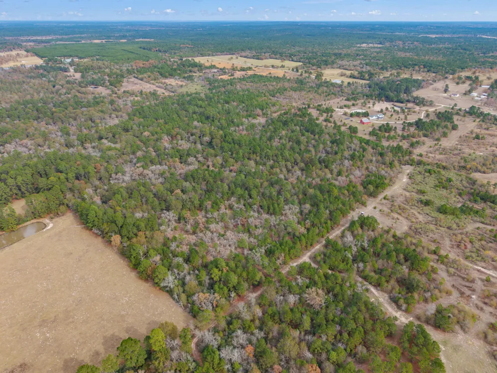 Dickey Loop Huntsville, TX 77831