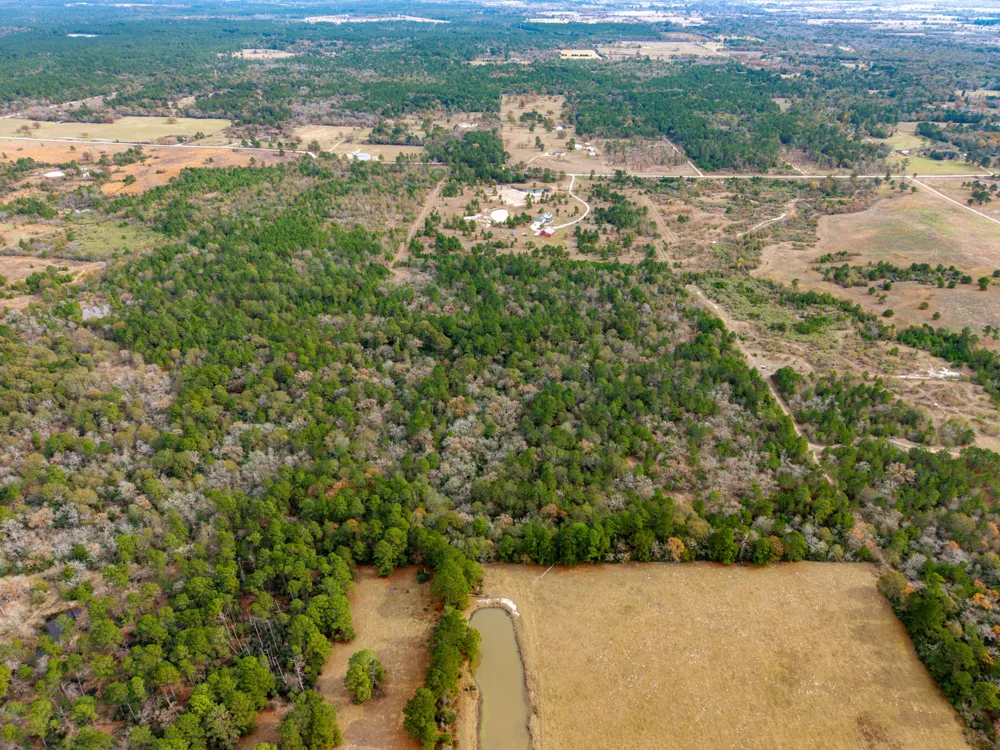 Dickey Loop Huntsville, TX 77831