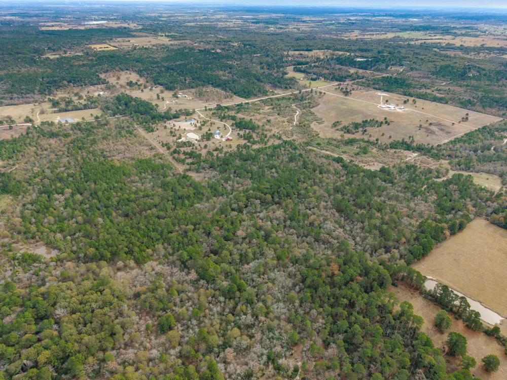 Dickey Loop Huntsville, TX 77831