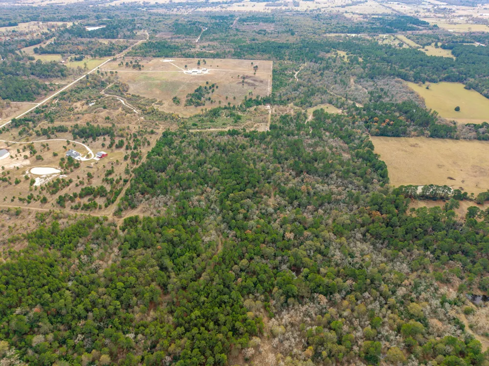 Dickey Loop Huntsville, TX 77831