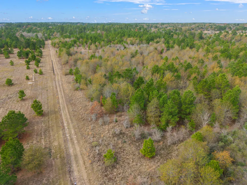 Dickey Loop Huntsville, TX 77831