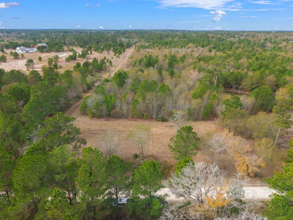 Dickey Loop Huntsville, TX 77831