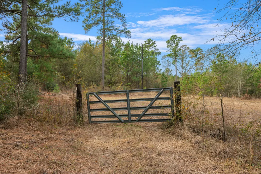 Dickey Loop Huntsville, TX 77831
