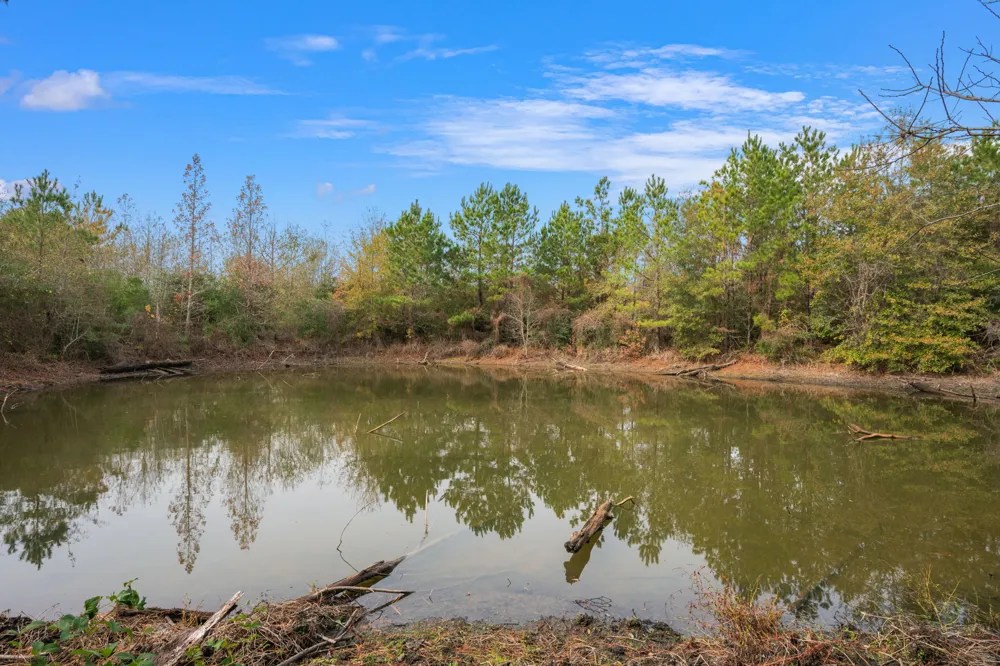 Dickey Loop Huntsville, TX 77831