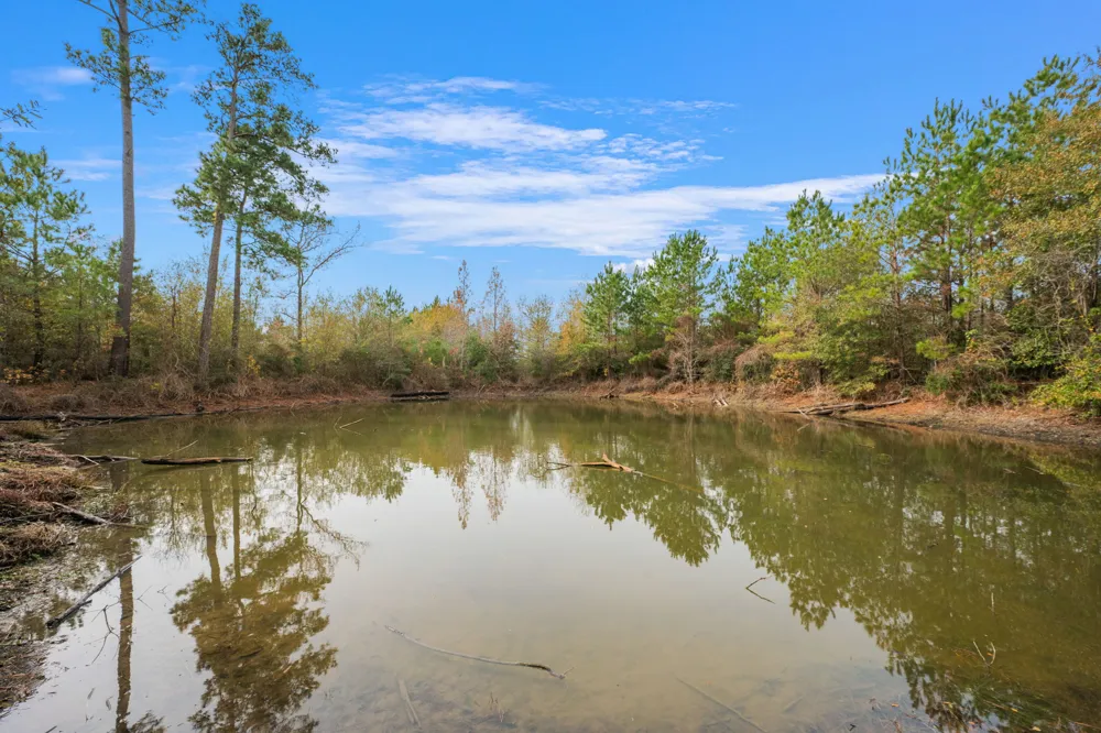Dickey Loop Huntsville, TX 77831