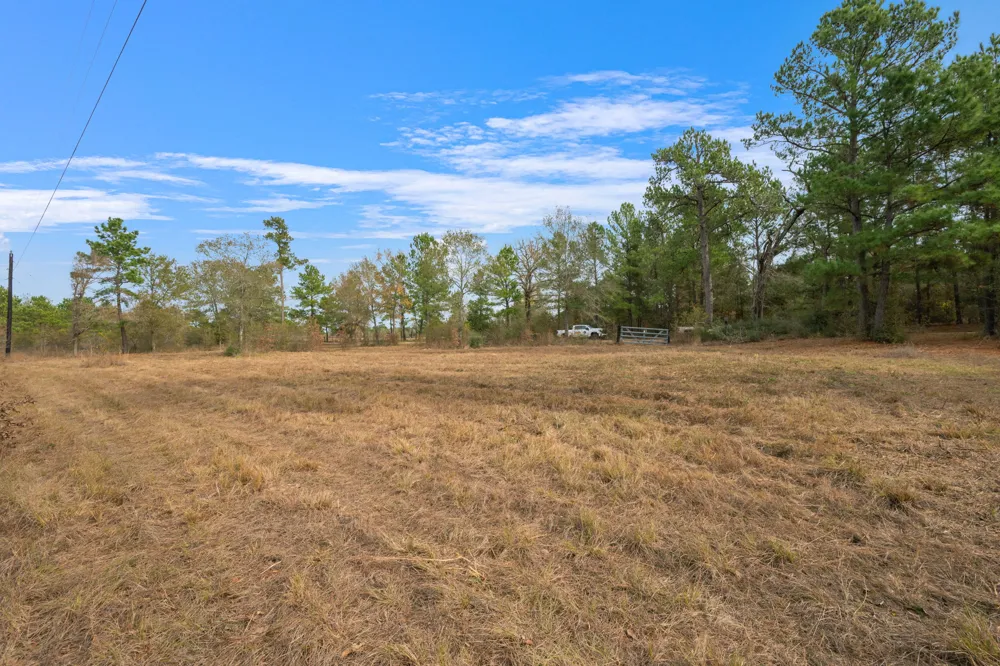 Dickey Loop Huntsville, TX 77831