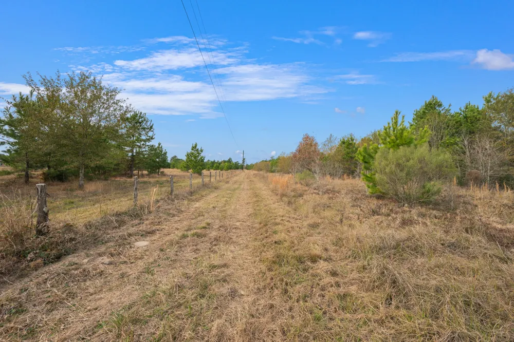 Dickey Loop Huntsville, TX 77831