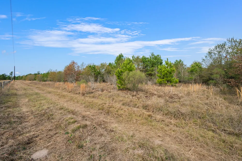 Dickey Loop Huntsville, TX 77831