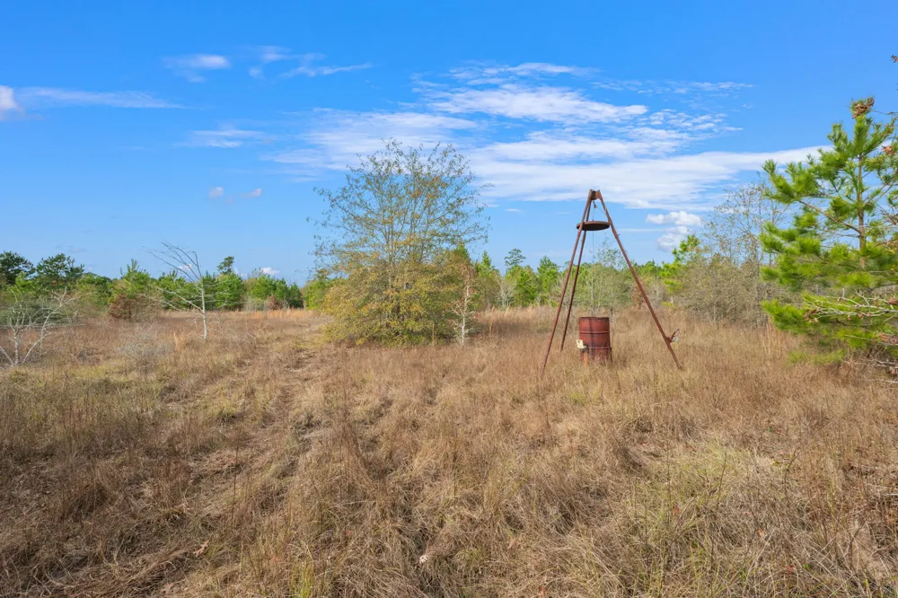 Dickey Loop Huntsville, TX 77831