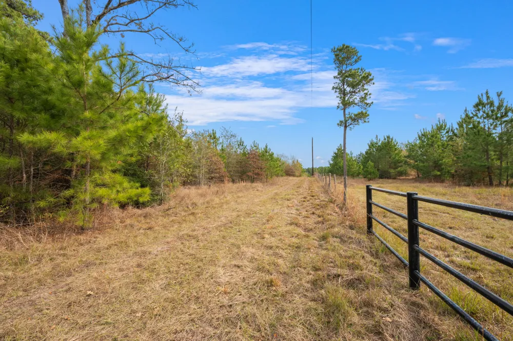 Dickey Loop Huntsville, TX 77831