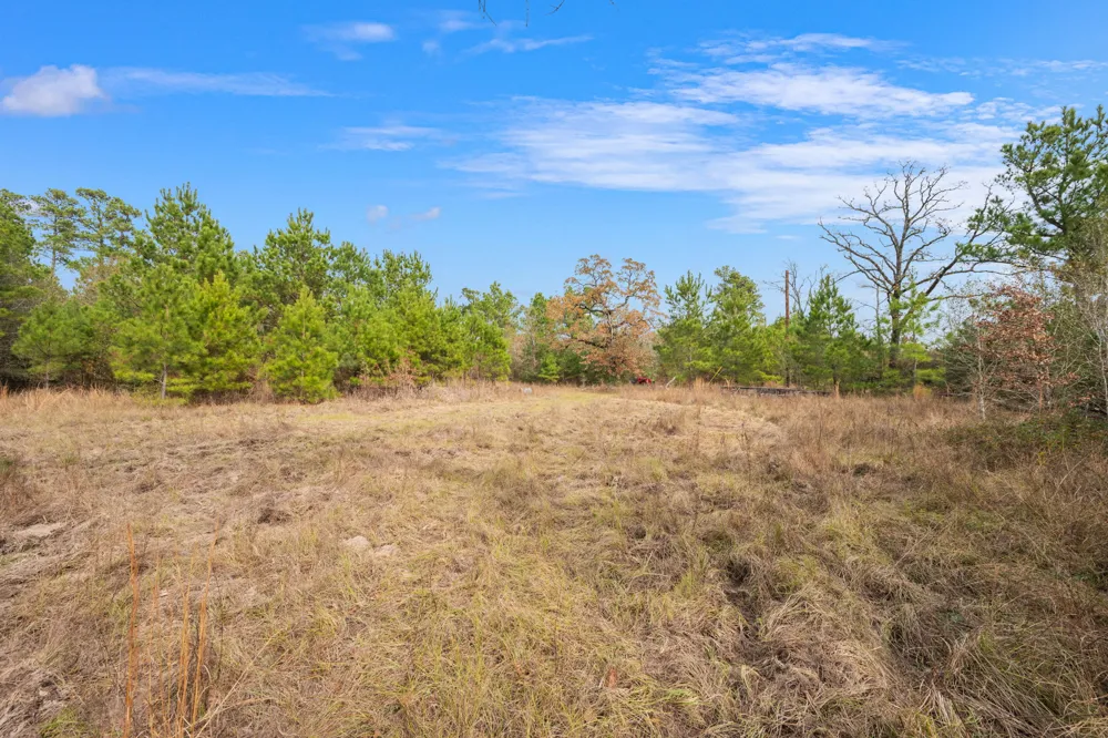 Dickey Loop Huntsville, TX 77831