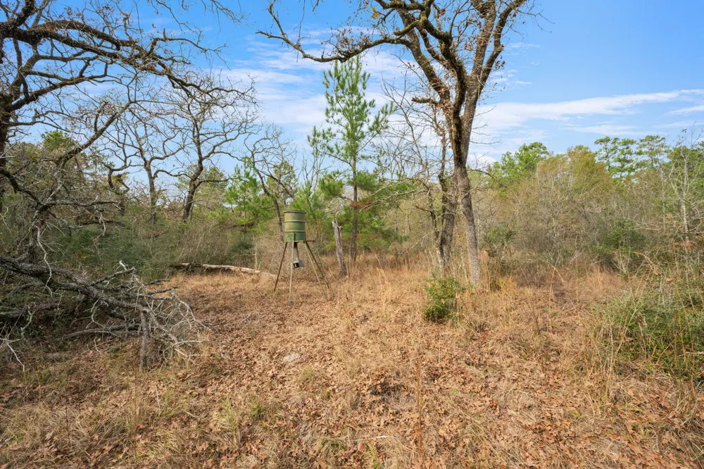 Dickey Loop Huntsville, TX 77831