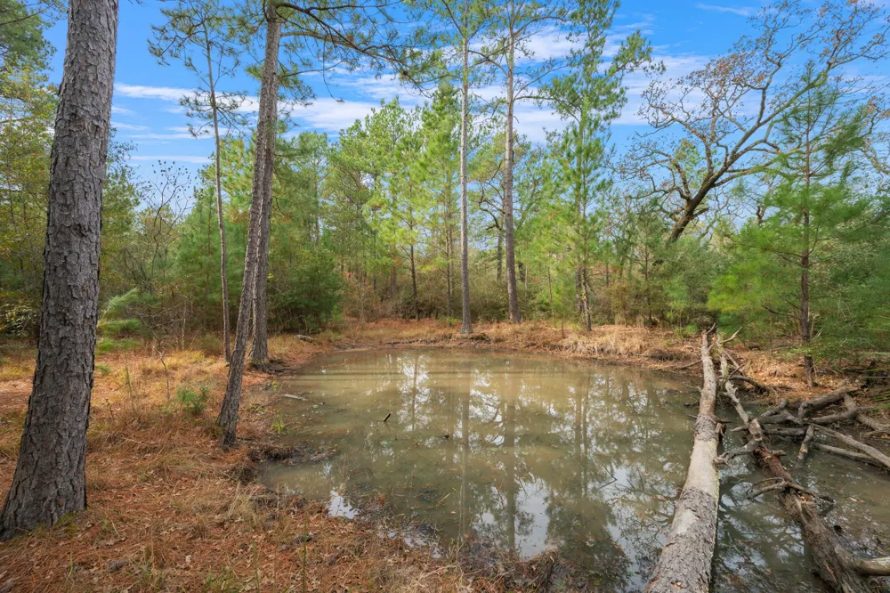 Dickey Loop Huntsville, TX 77831