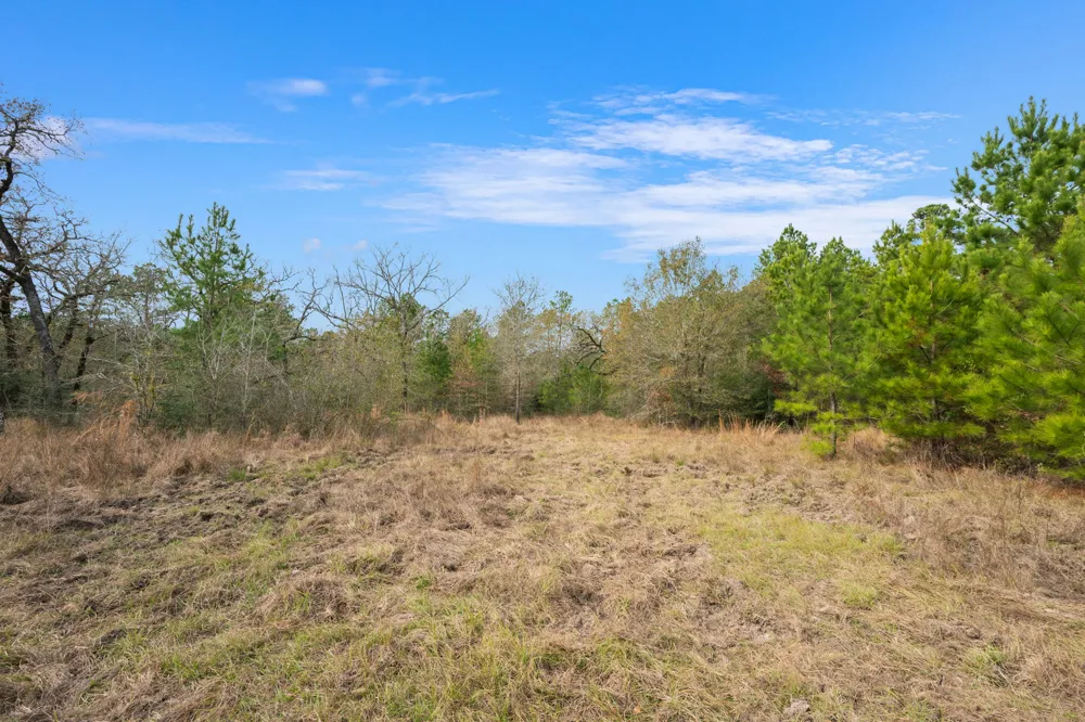 Dickey Loop Huntsville, TX 77831