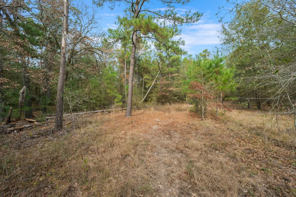 Dickey Loop Huntsville, TX 77831