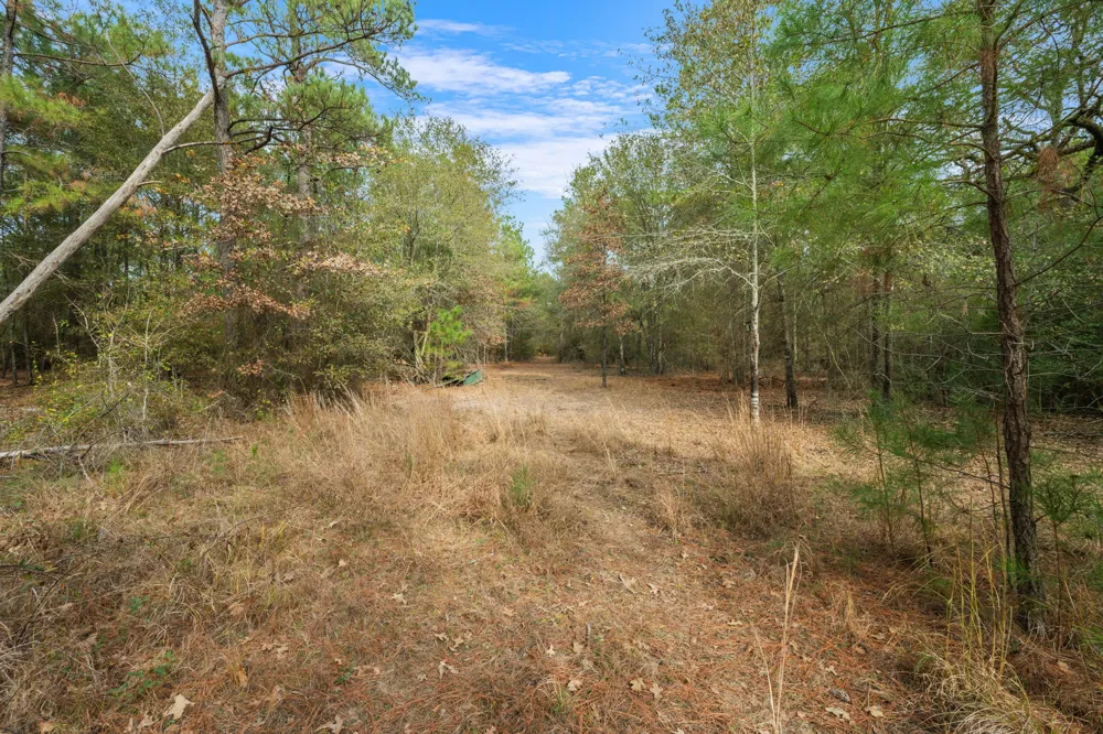 Dickey Loop Huntsville, TX 77831