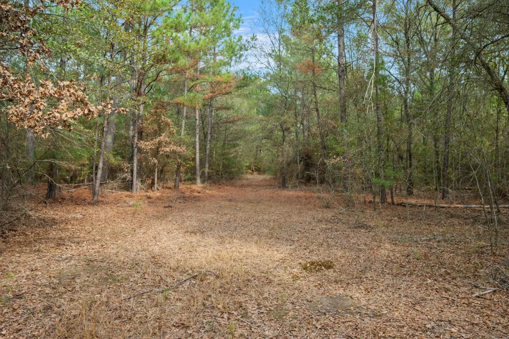 Dickey Loop Huntsville, TX 77831