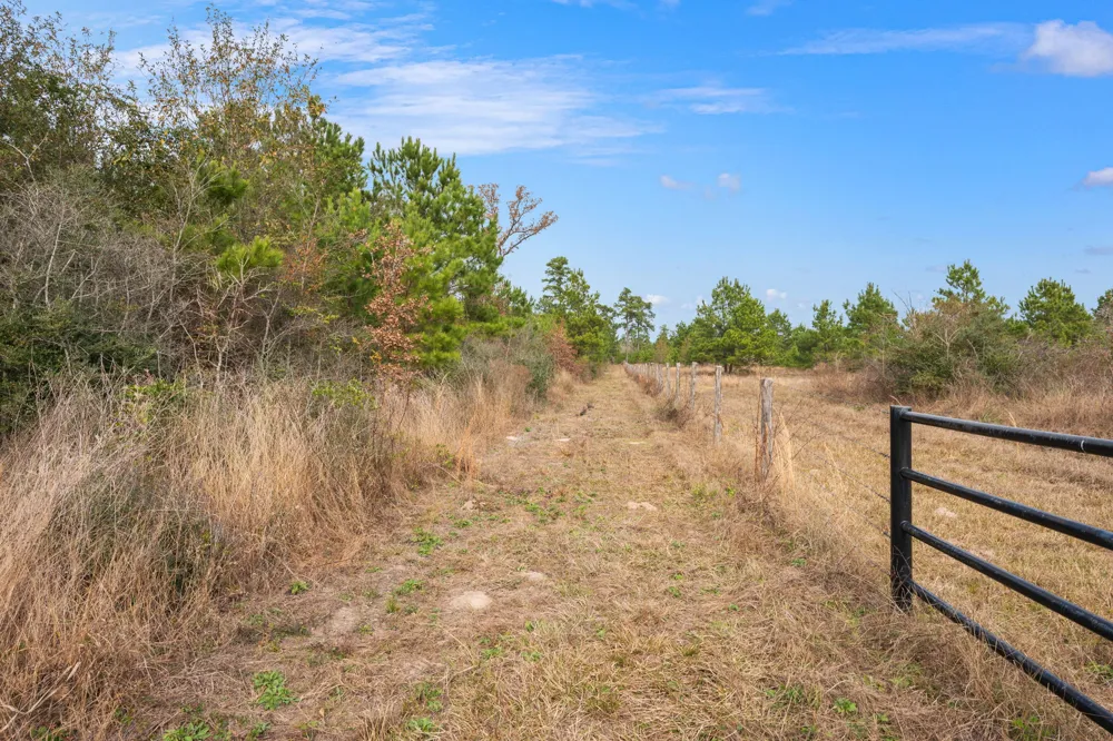 Dickey Loop Huntsville, TX 77831