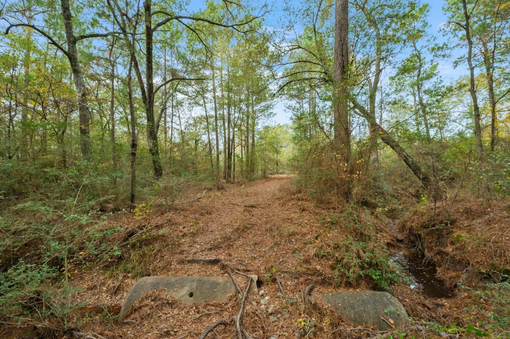 Dickey Loop Huntsville, TX 77831