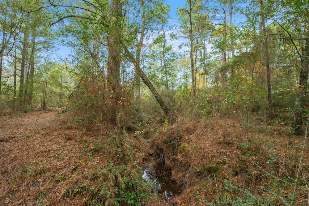 Dickey Loop Huntsville, TX 77831