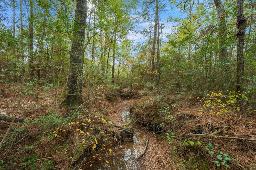 Dickey Loop Huntsville, TX 77831