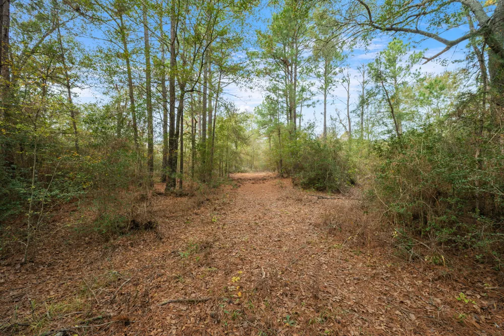 Dickey Loop Huntsville, TX 77831