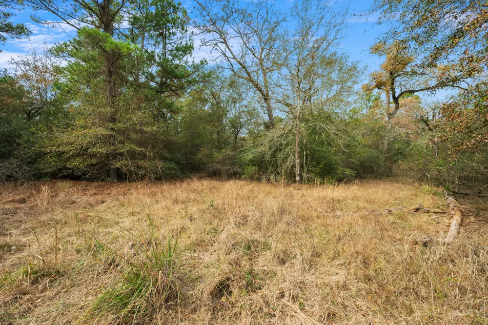 Dickey Loop Huntsville, TX 77831