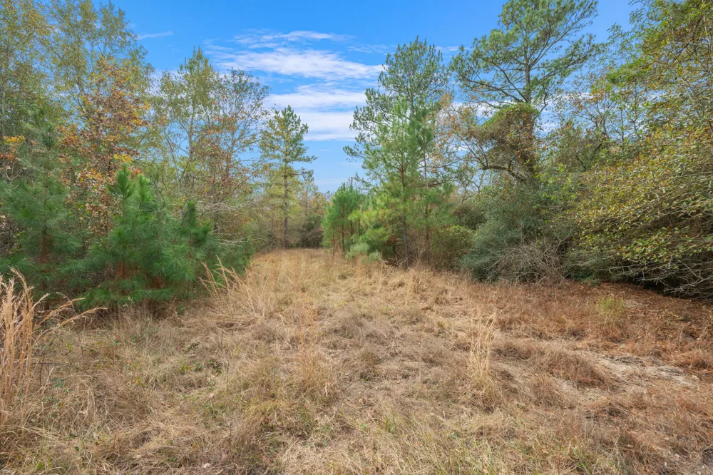 Dickey Loop Huntsville, TX 77831