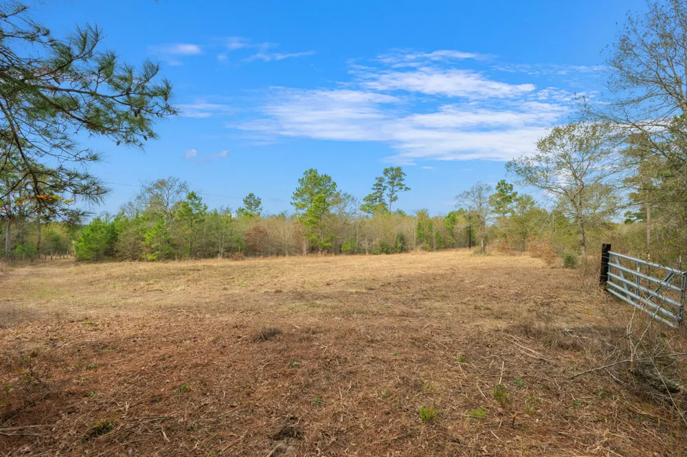Dickey Loop Huntsville, TX 77831